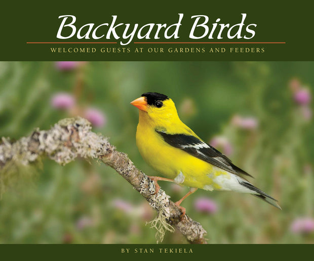 Cover image for Backyard Birds, isbn: 9781591936411