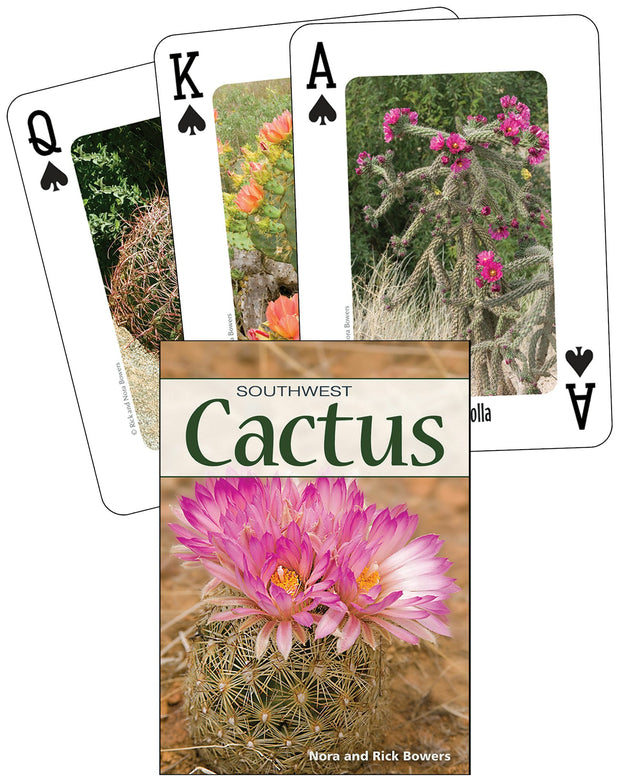 Cover image for Cactus of the Southwest Playing Cards, isbn: 9781591936510