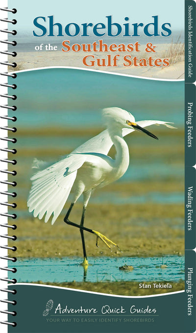 Cover image for Shorebirds of the Southeast & Gulf States, isbn: 9781591936565