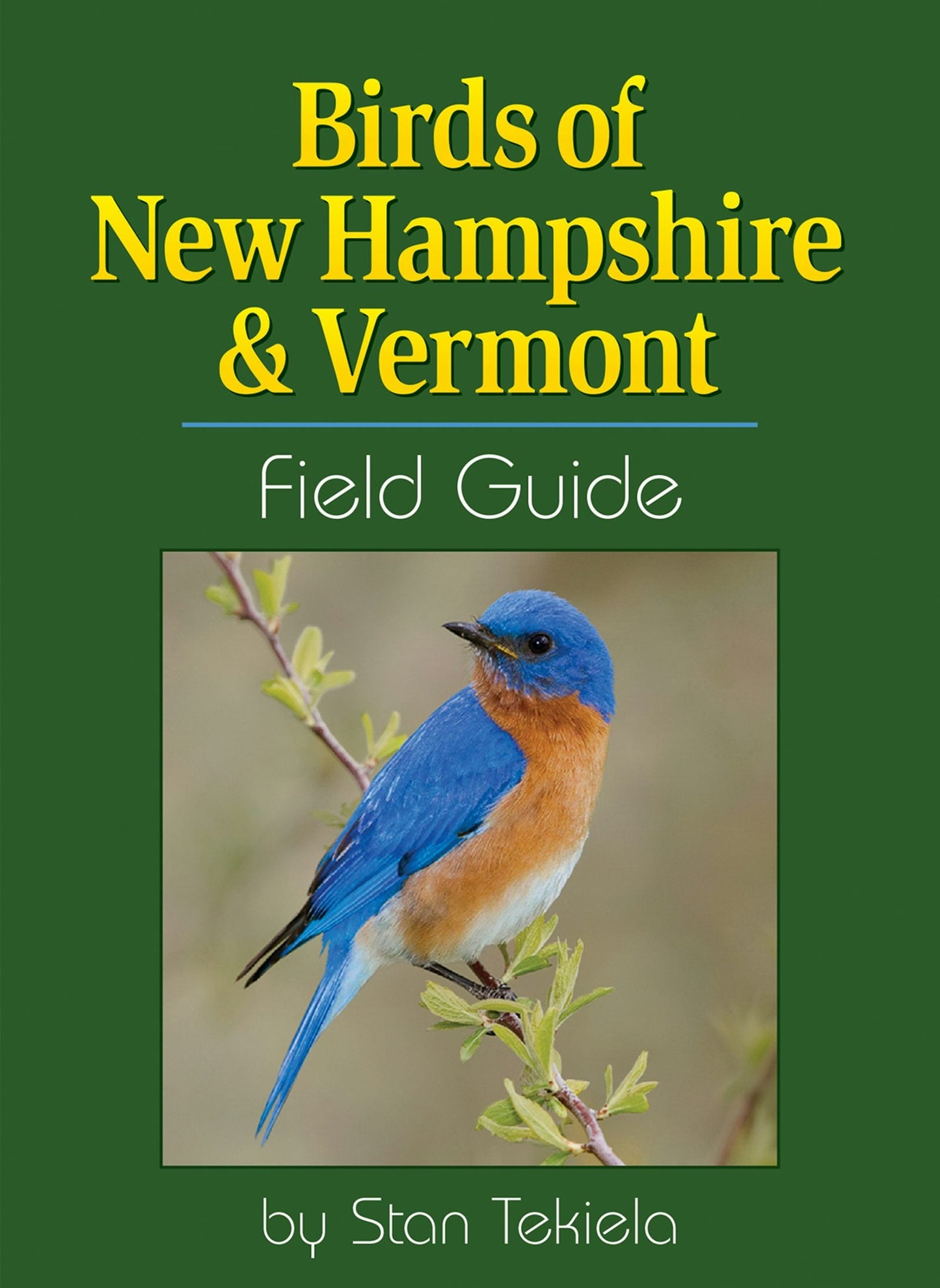 Book cover image for Birds of New Hampshire & Vermont Field Guide ISBN: 9781591936602