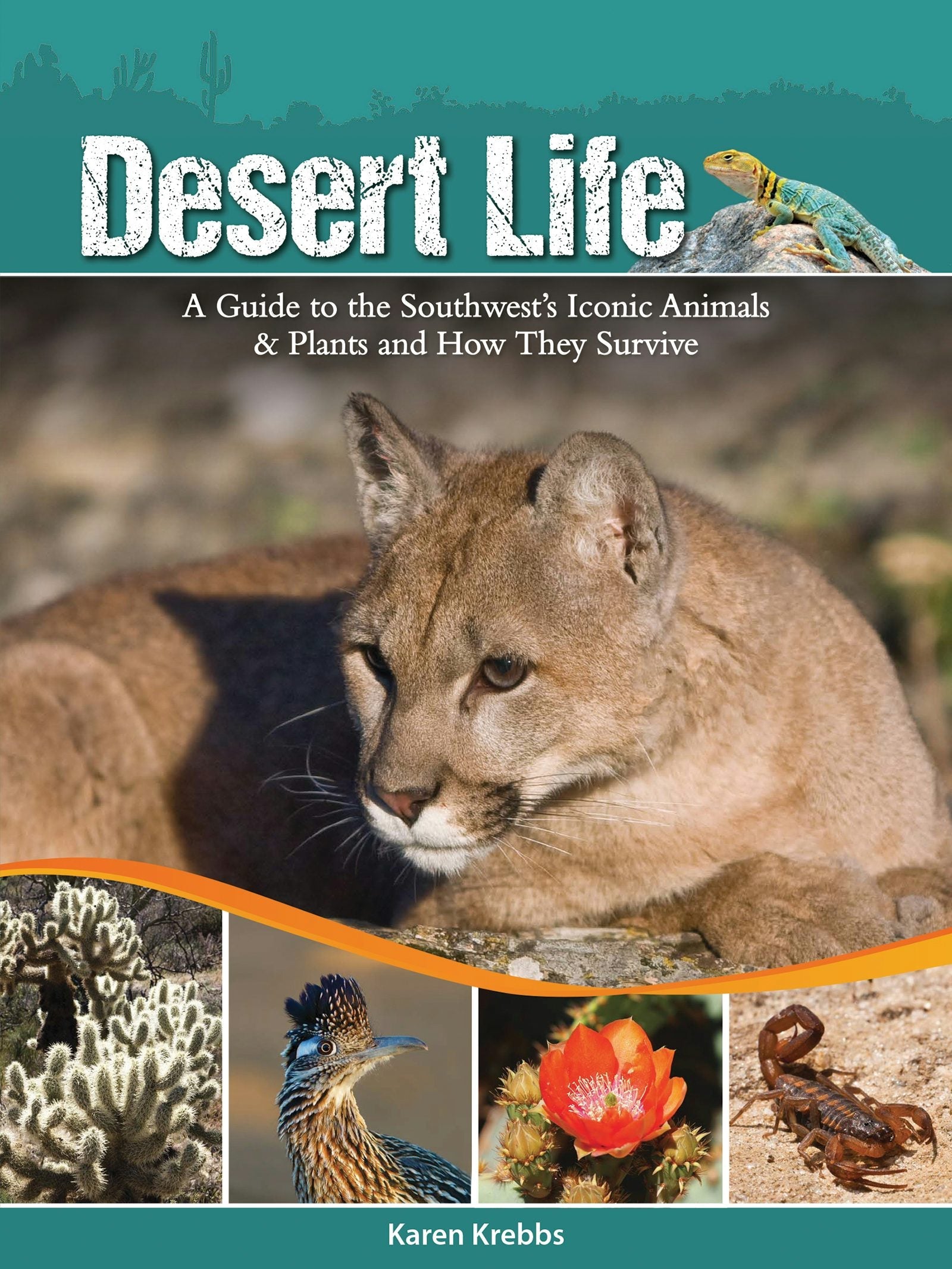 Book cover image for Desert Life ISBN: 9781591936640