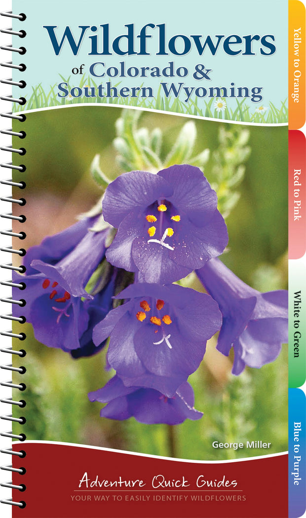Cover image for Wildflowers of Colorado & Southern Wyoming, isbn: 9781591936824