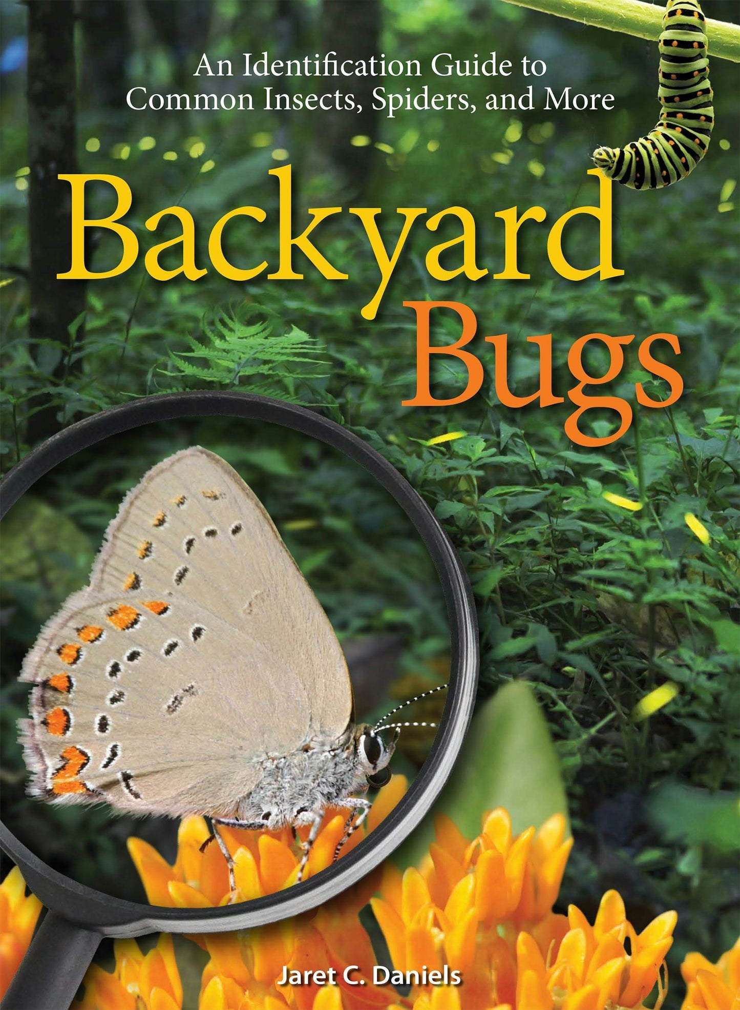 Book cover image for Backyard Bugs ISBN: 9781591936862