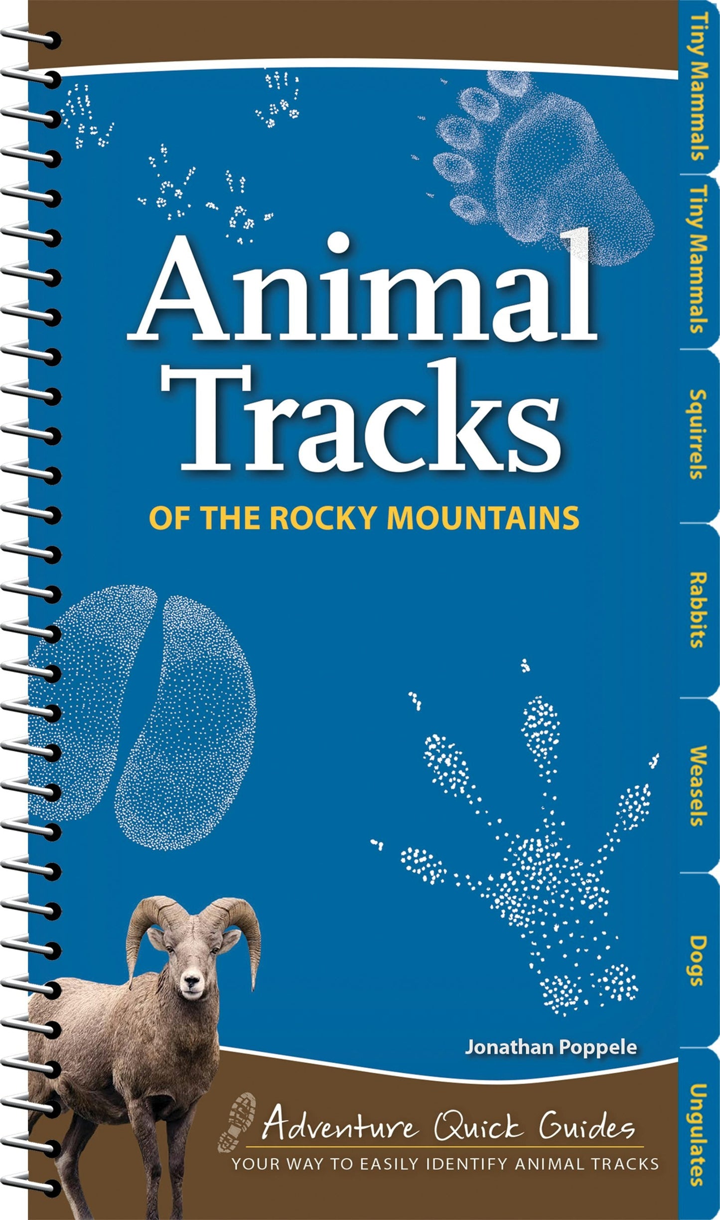 Book cover image for Animal Tracks of the Rocky Mountains ISBN: 9781591936985