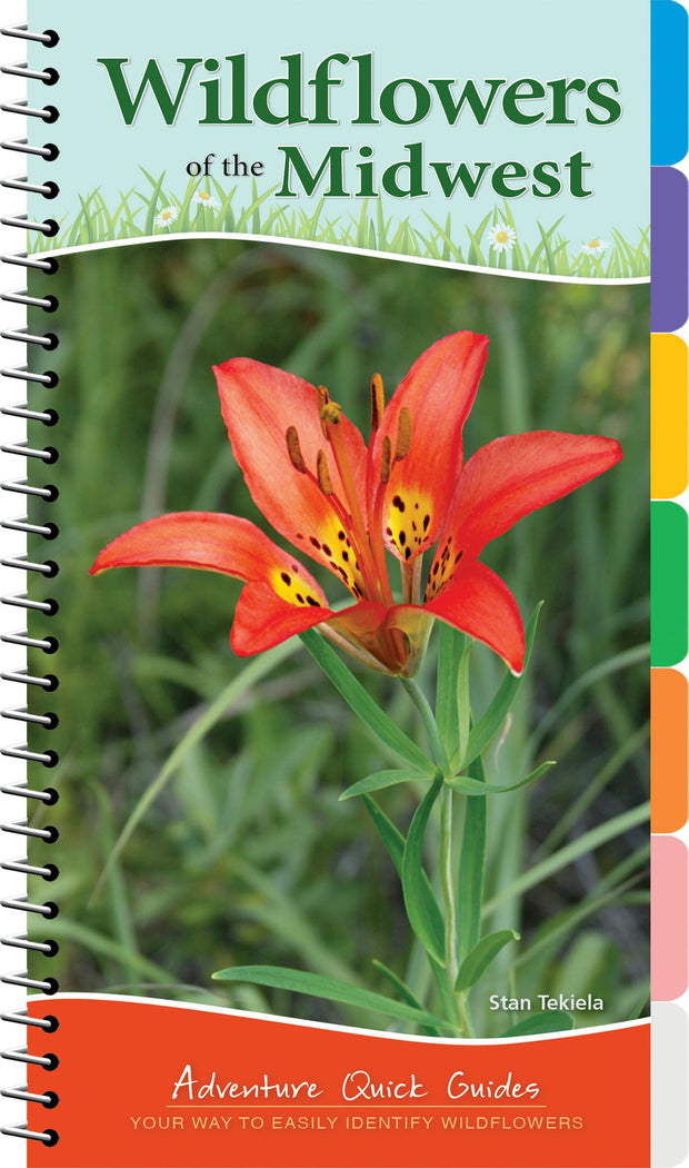 Cover image for Wildflowers of the Midwest, isbn: 9781591937036