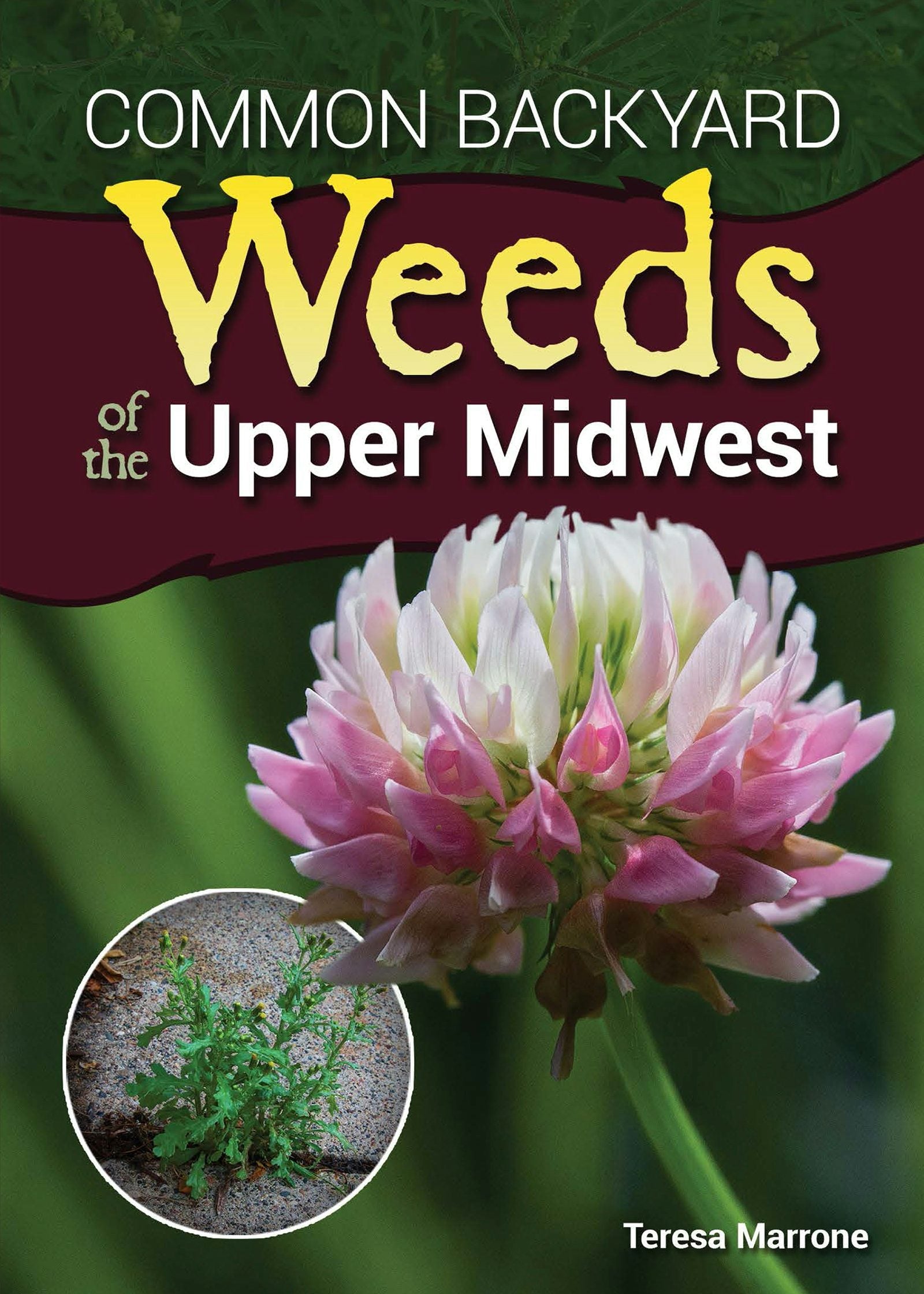 Book cover image for Common Backyard Weeds of the Upper Midwest ISBN: 9781591937067