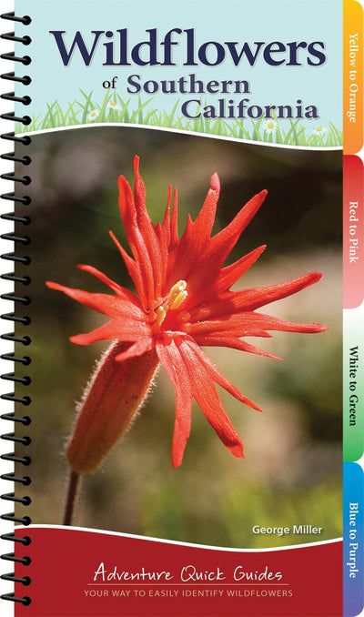 Cover image for Wildflowers of Southern California, isbn: 9781591937517