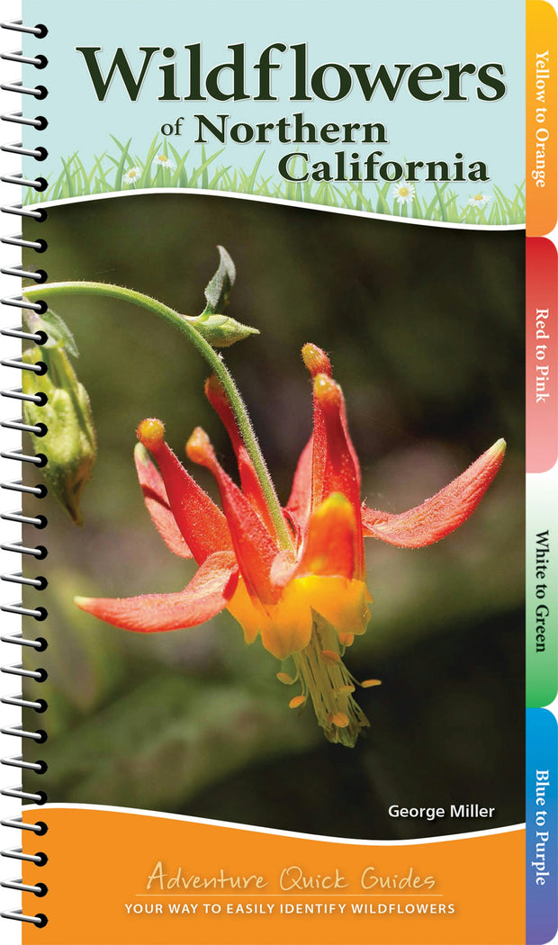 Cover image for Wildflowers of Northern California, isbn: 9781591937531
