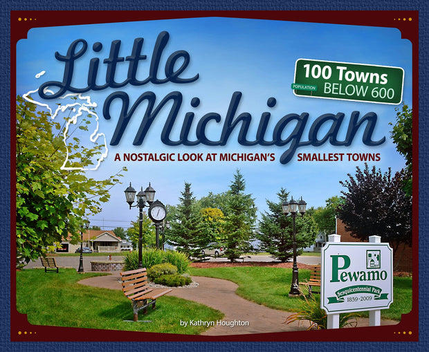 Cover image for Little Michigan, isbn: 9781591937692