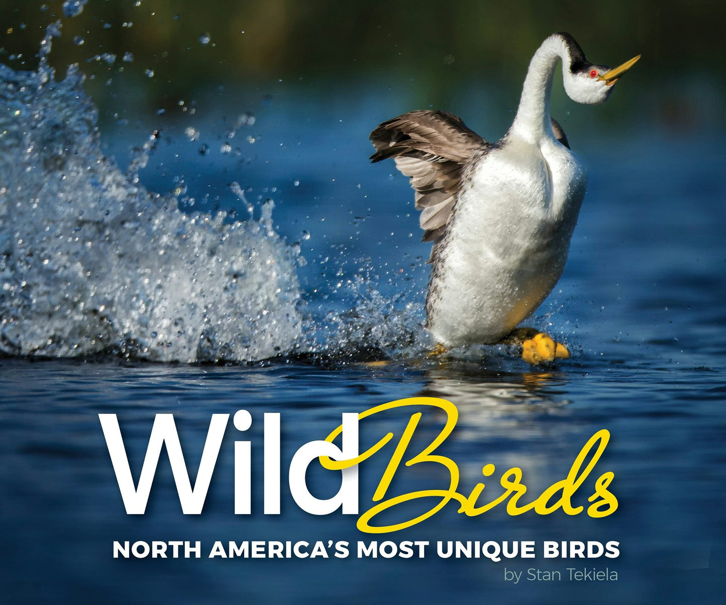 Book cover image for Wild Birds ISBN: 9781591937784
