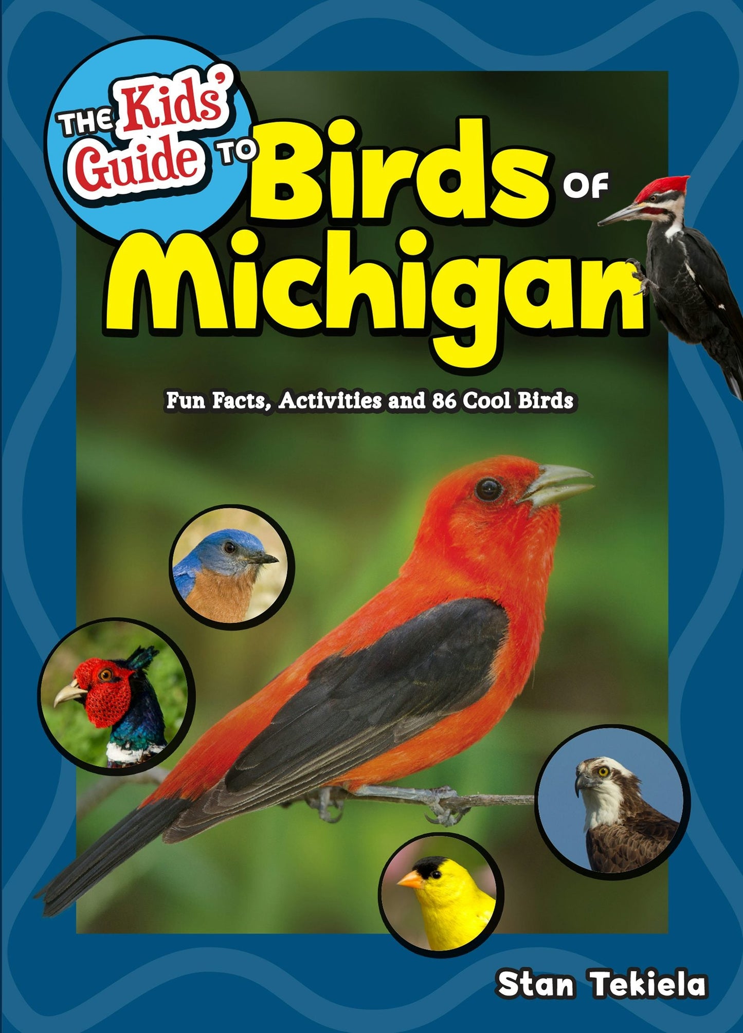 Book cover image for The Kids' Guide to Birds of Michigan ISBN: 9781591937845