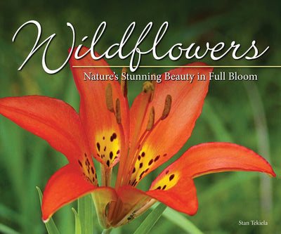 Cover image for Wildflowers, isbn: 9781591937883