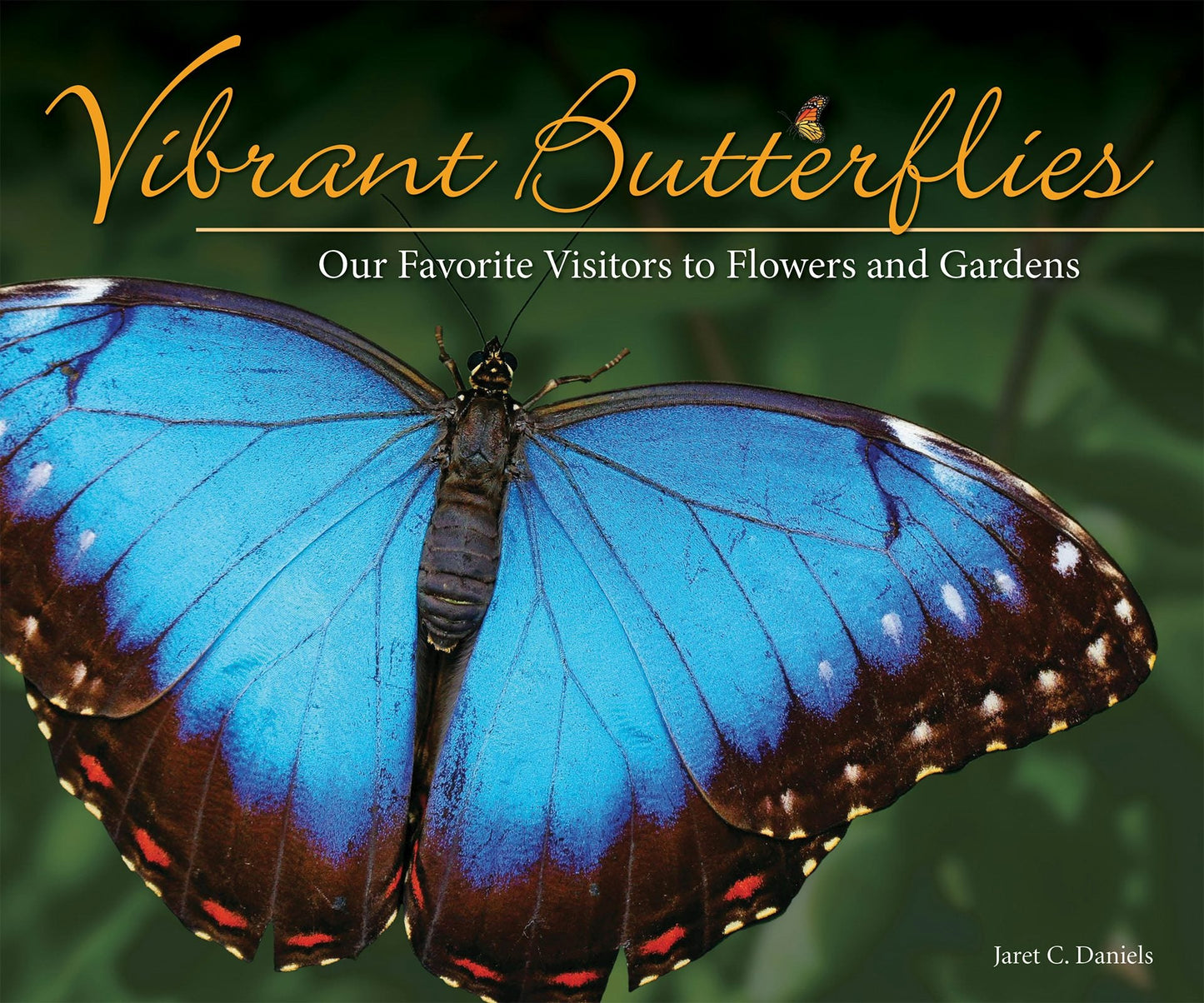 Book cover image for Vibrant Butterflies ISBN: 9781591937890