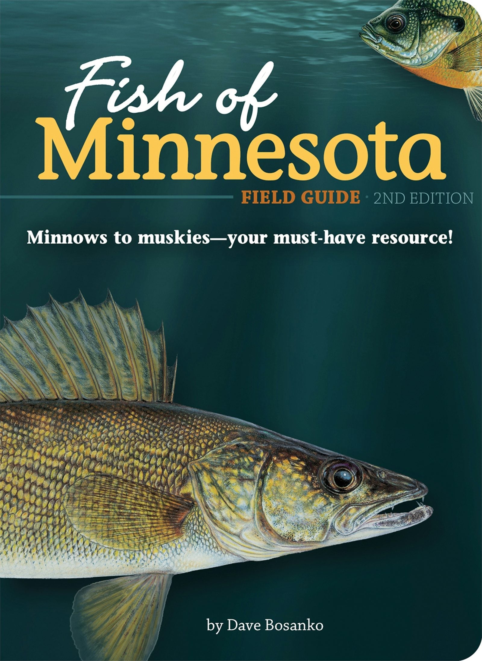 Book cover image for Fish of Minnesota Field Guide ISBN: 9781591937906