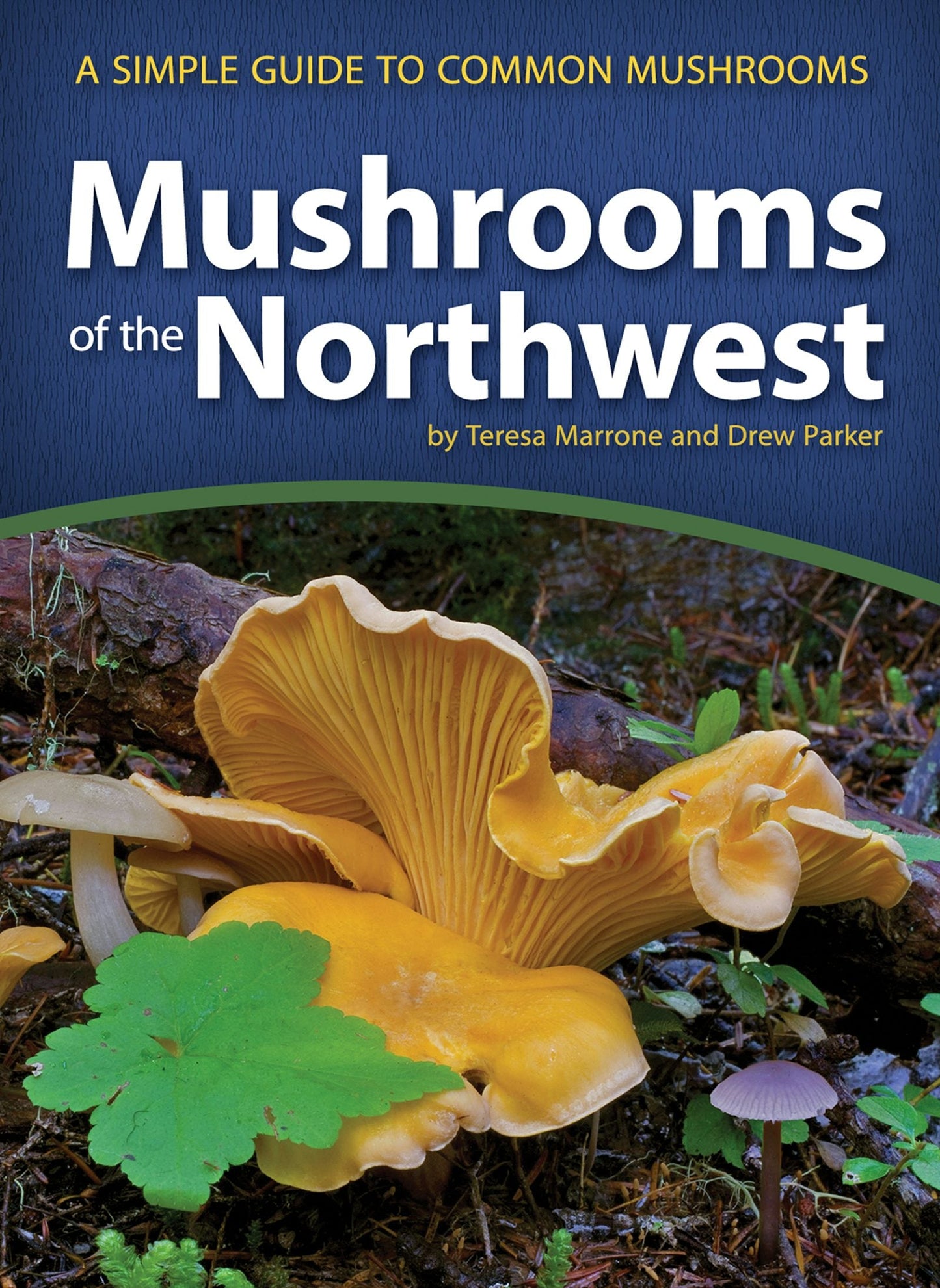 Book cover image for Mushrooms of the Northwest ISBN: 9781591937920