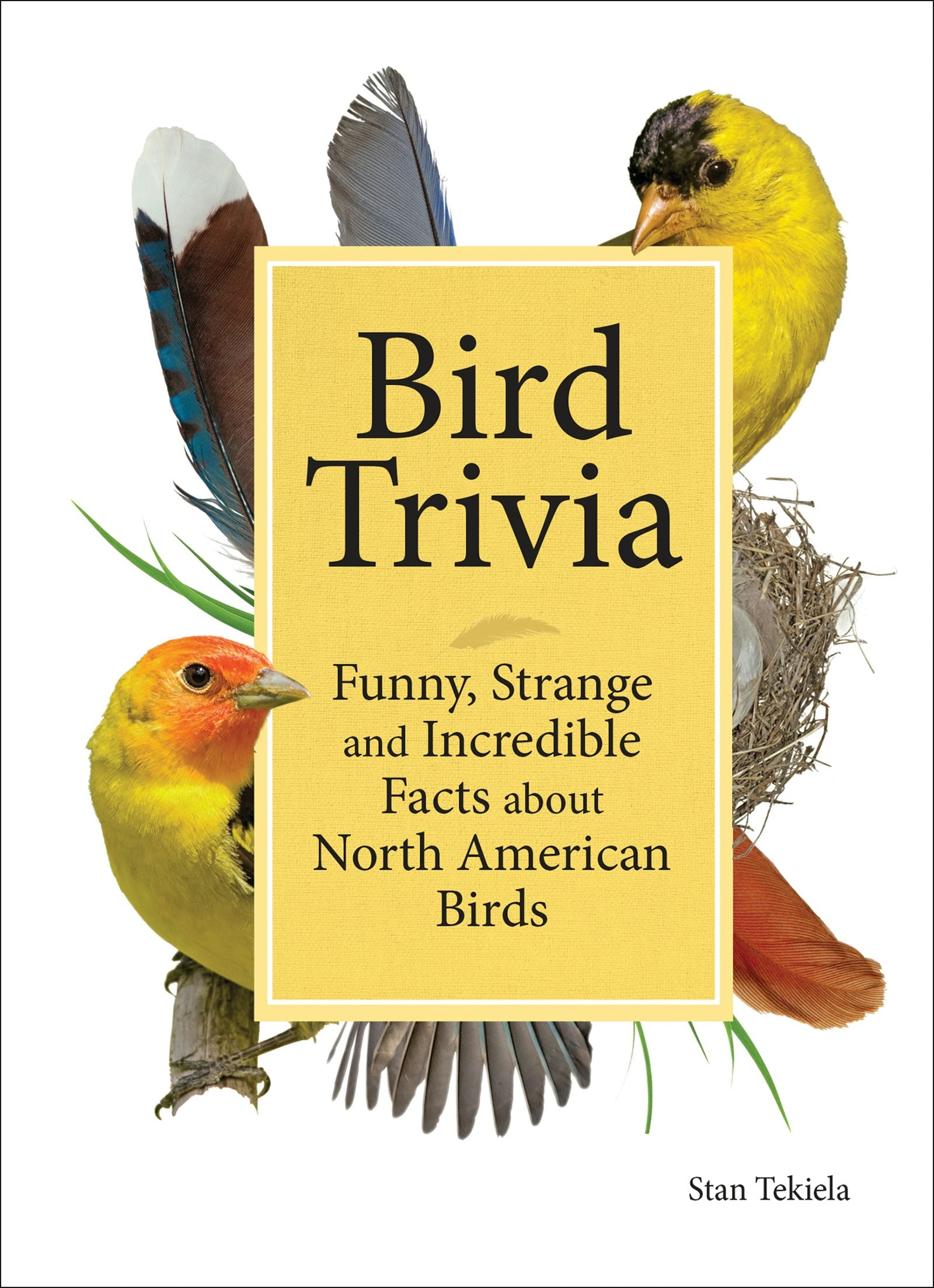 Book cover image for Bird Trivia ISBN: 9781591938101