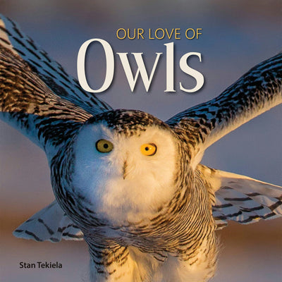 Cover image for Our Love of Owls, isbn: 9781591938132