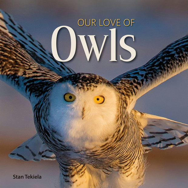Cover image for Our Love of Owls, isbn: 9781591938132