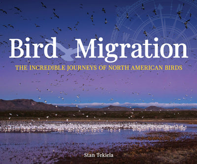Cover image for Bird Migration, isbn: 9781591938149
