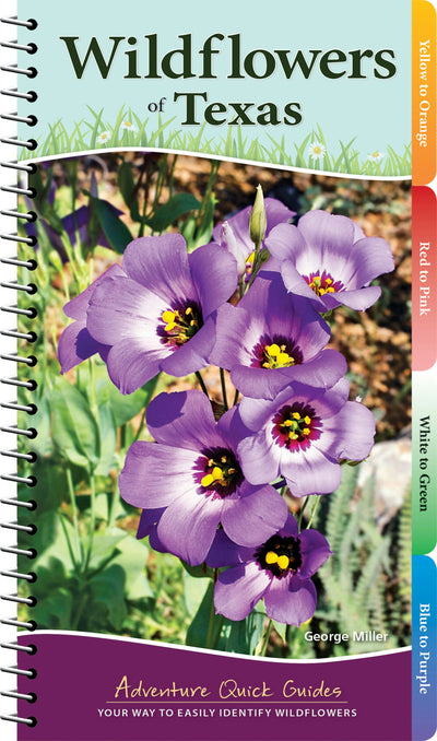 Cover image for Wildflowers of Texas, isbn: 9781591938163
