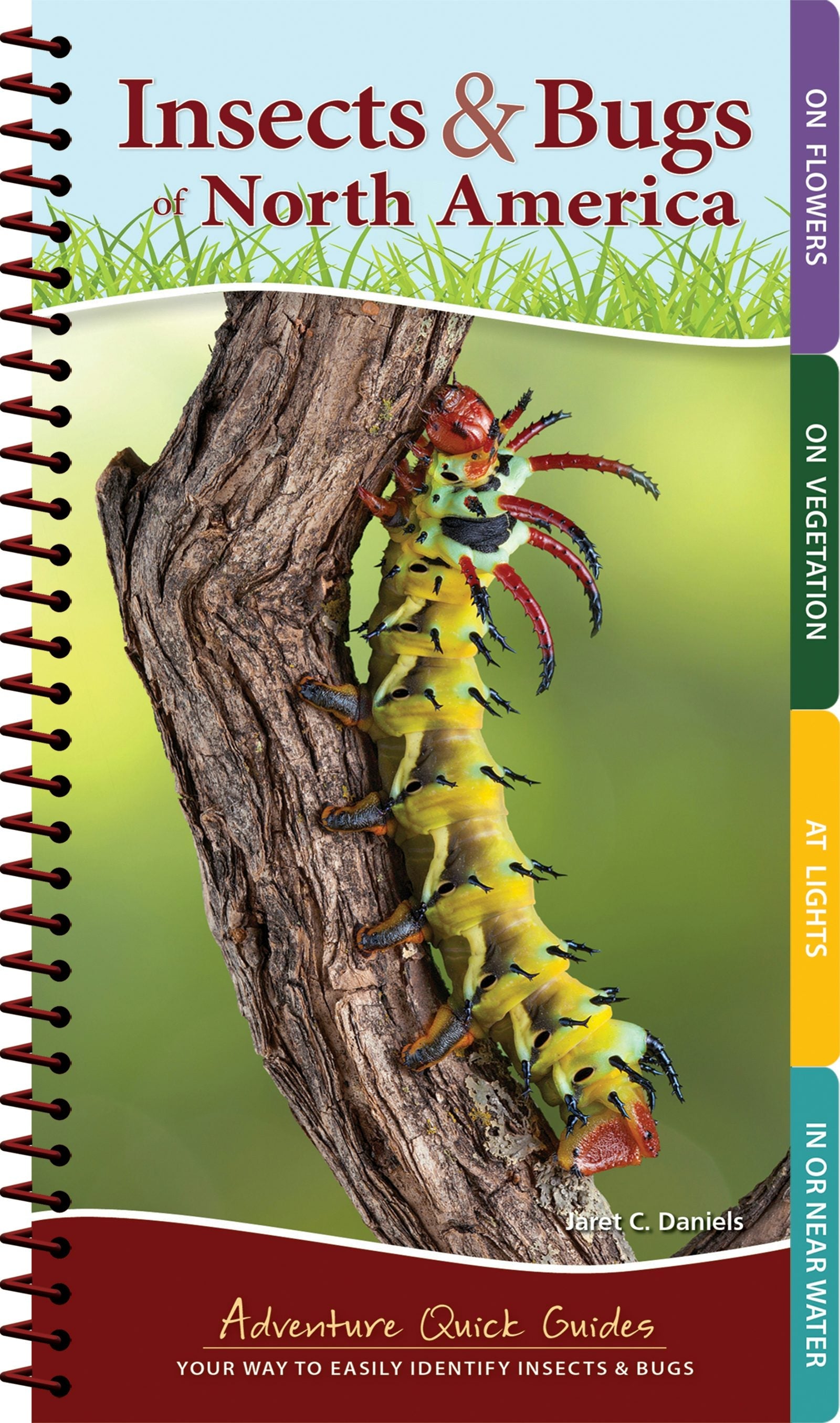 Book cover image for Insects & Bugs of North America ISBN: 9781591938187