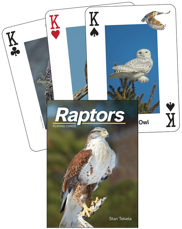 Cover image for Raptors Playing Cards, isbn: 9781591938231