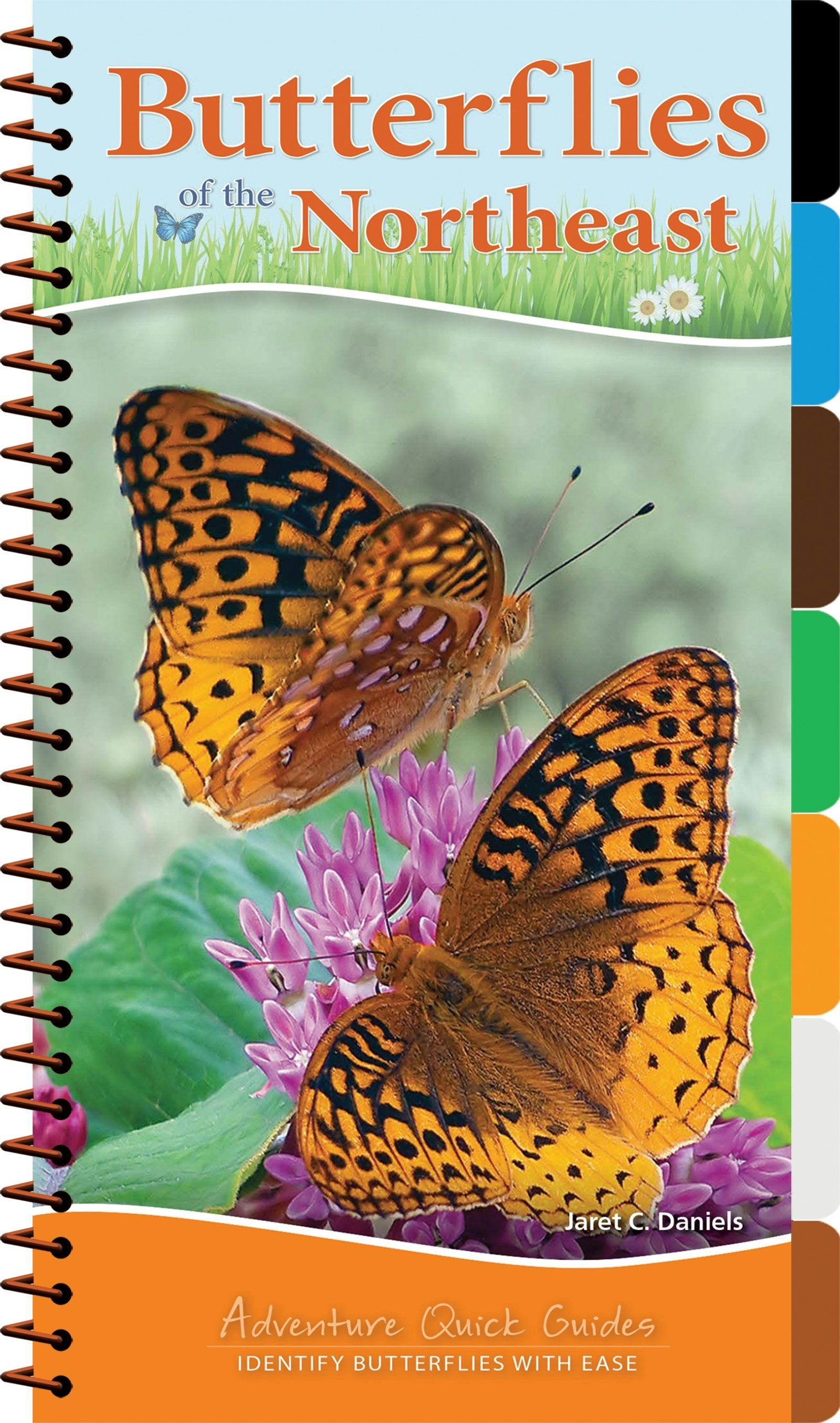 Book cover image for Butterflies of the Northeast ISBN: 9781591938262