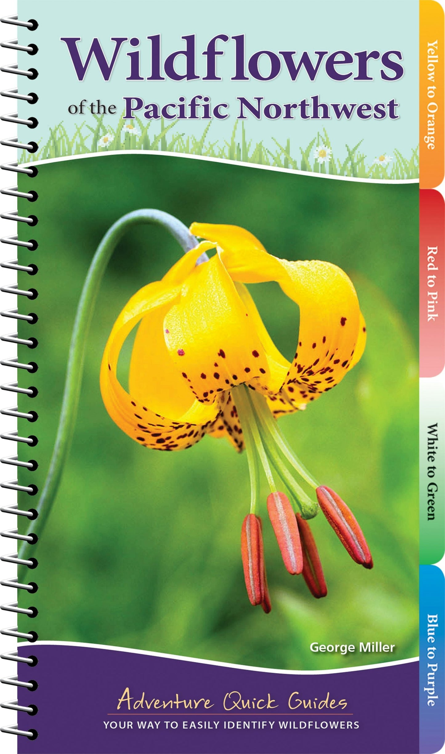 Book cover image for Wildflowers of the Pacific Northwest ISBN: 9781591938279
