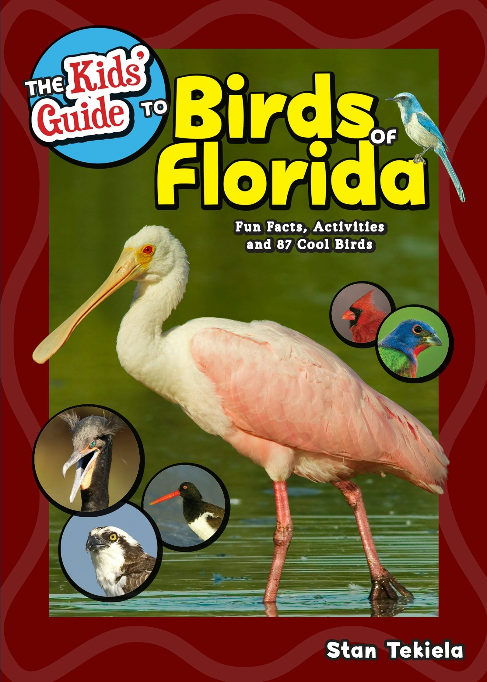 Book cover image for The Kids' Guide to Birds of Florida ISBN: 9781591938361