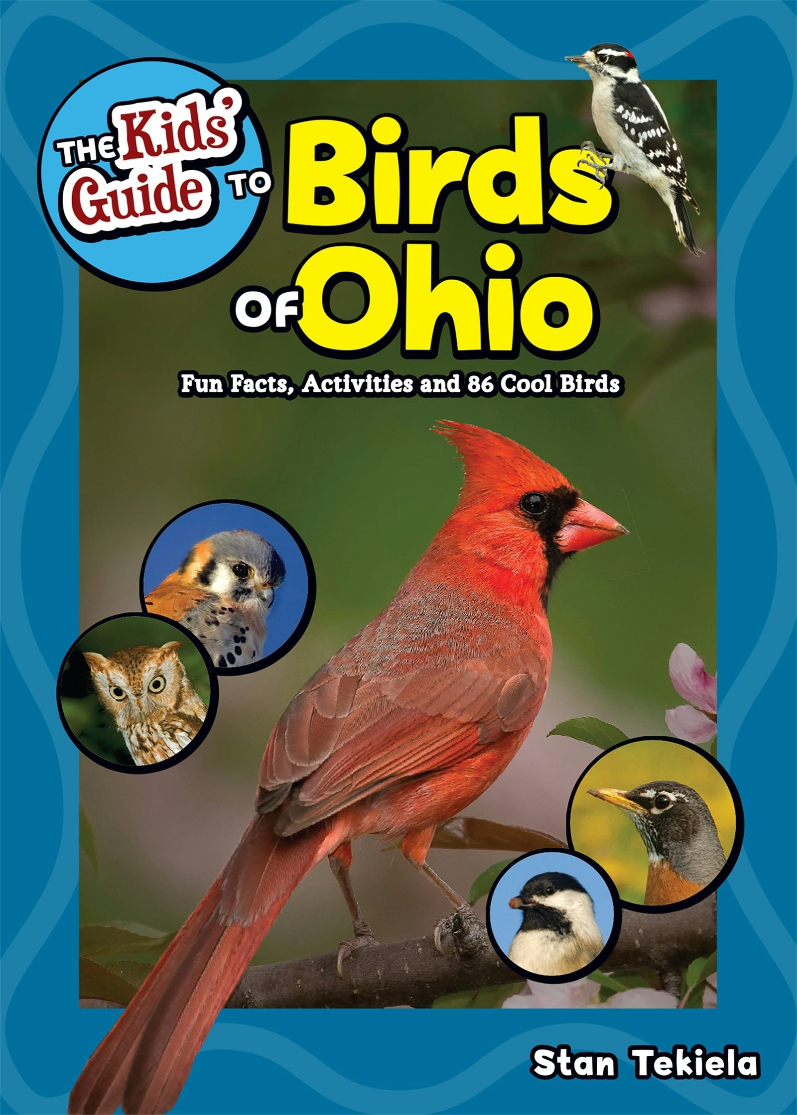 Book cover image for The Kids' Guide to Birds of Ohio ISBN: 9781591938378
