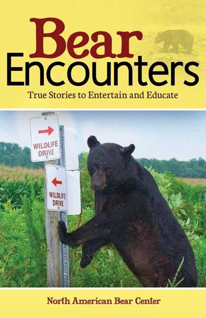 Cover image for Bear Encounters, isbn: 9781591938705