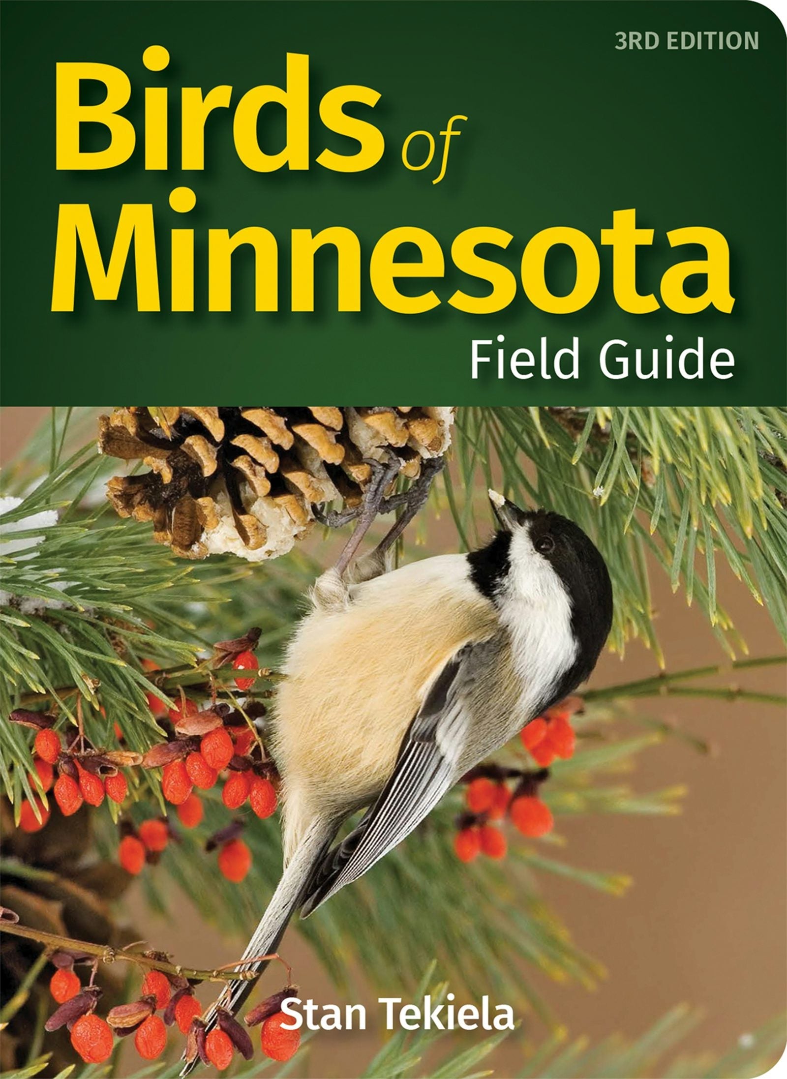 Book cover image for Birds of Minnesota Field Guide ISBN: 9781591938989