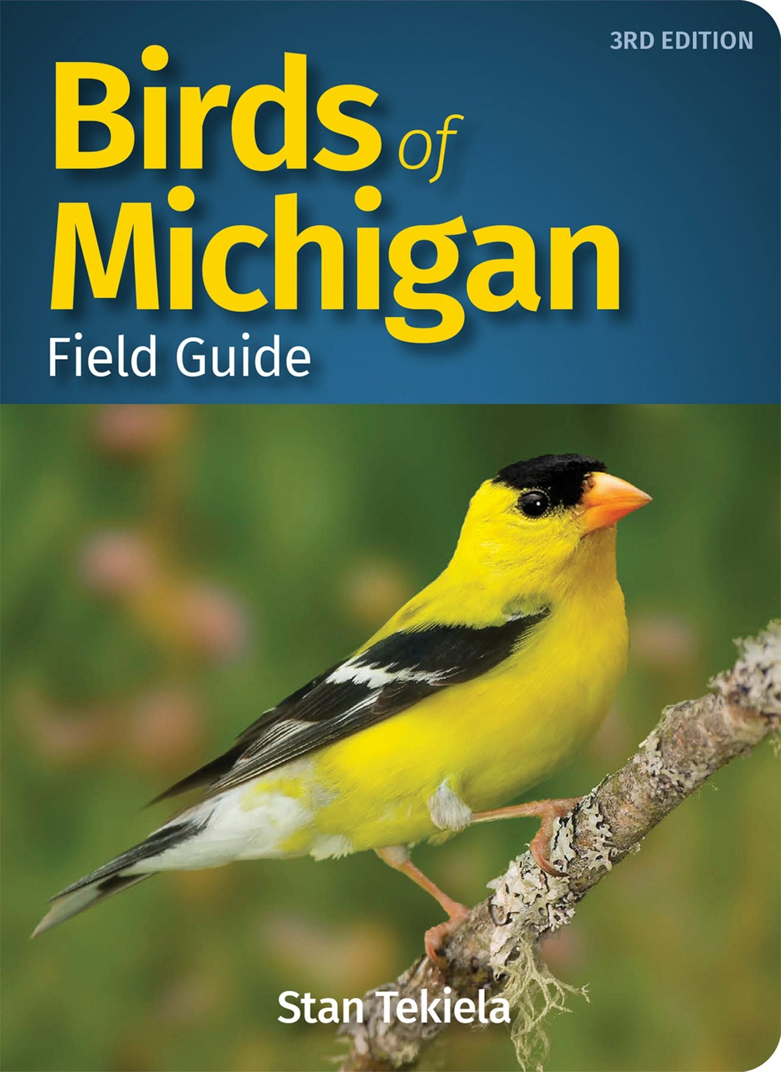 Book cover image for Birds of Michigan Field Guide ISBN: 9781591939016