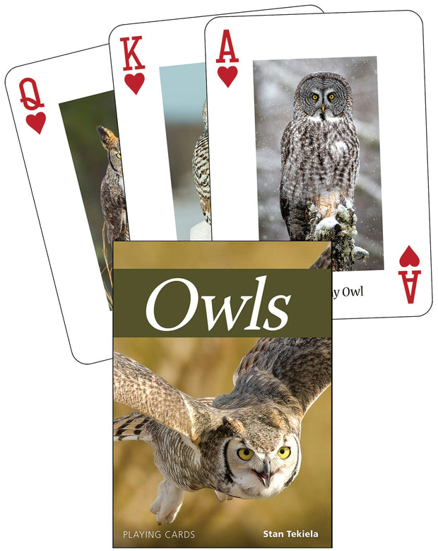 Cover image for Owls Playing Cards, isbn: 9781591939344