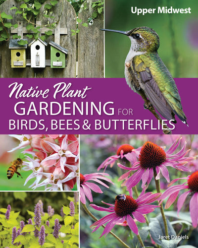 Cover image for Native Plant Gardening for Birds, Bees & Butterflies: Upper Midwest, isbn: 9781591939429