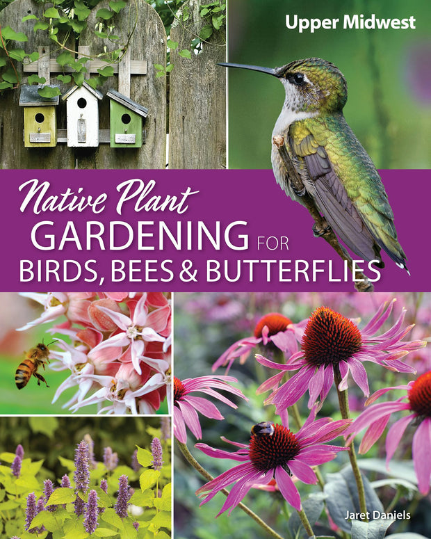 Cover image for Native Plant Gardening for Birds, Bees & Butterflies: Upper Midwest, isbn: 9781591939429