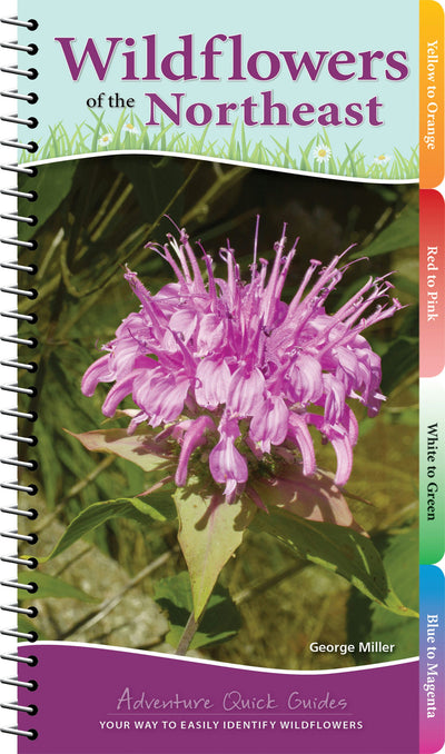 Cover image for Wildflowers of the Northeast, isbn: 9781591939443
