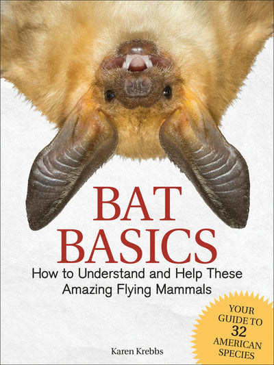 Cover image for Bat Basics, isbn: 9781591939870