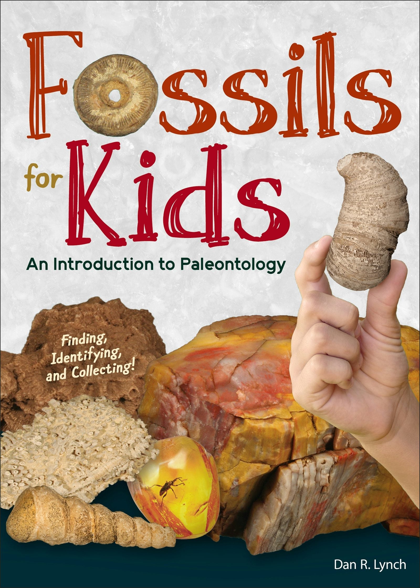 Book cover image for Fossils for Kids ISBN: 9781591939993