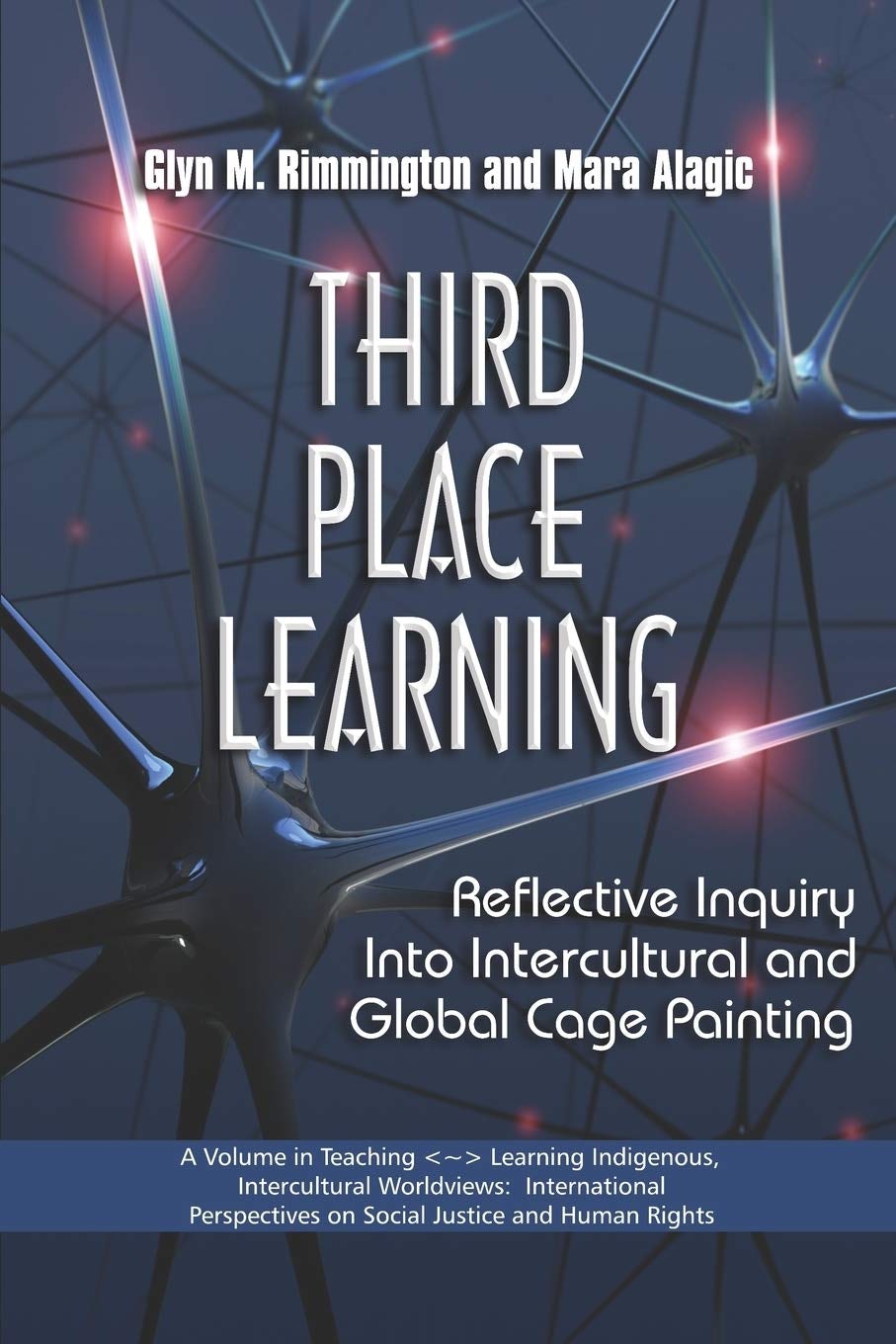 Book cover image for Third Place Learning ISBN: 9781593119270