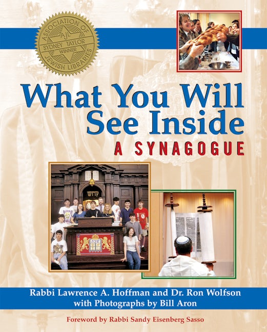 Book cover image for What You Will See Inside a Synagogue ISBN: 9781594732560