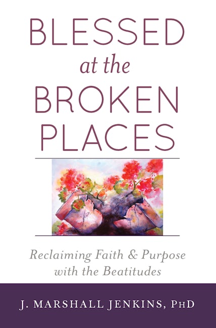 Book cover image for Blessed at the Broken Places ISBN: 9781594736339