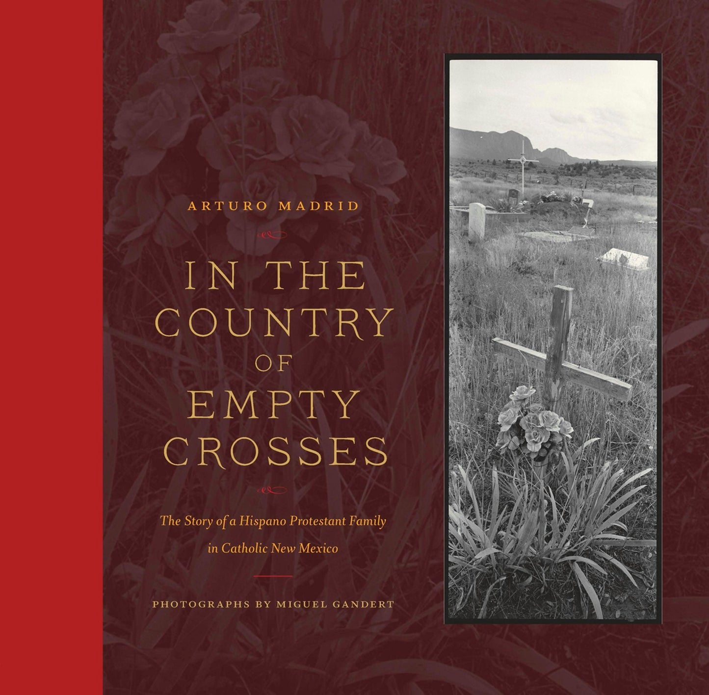 Book cover image for In the Country of Empty Crosses ISBN: 9781595341228