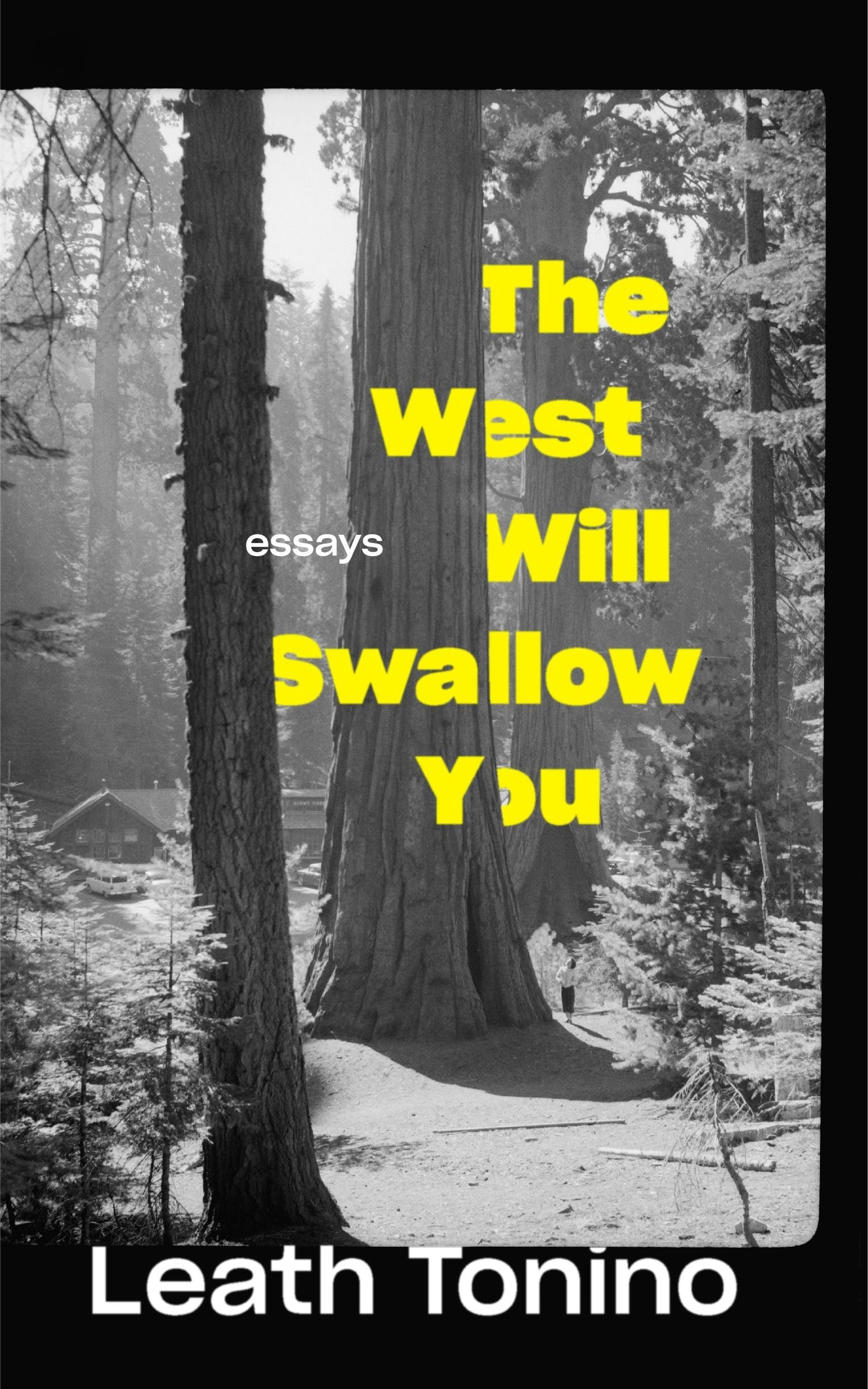 Book cover image for The West Will Swallow You ISBN: 9781595349040