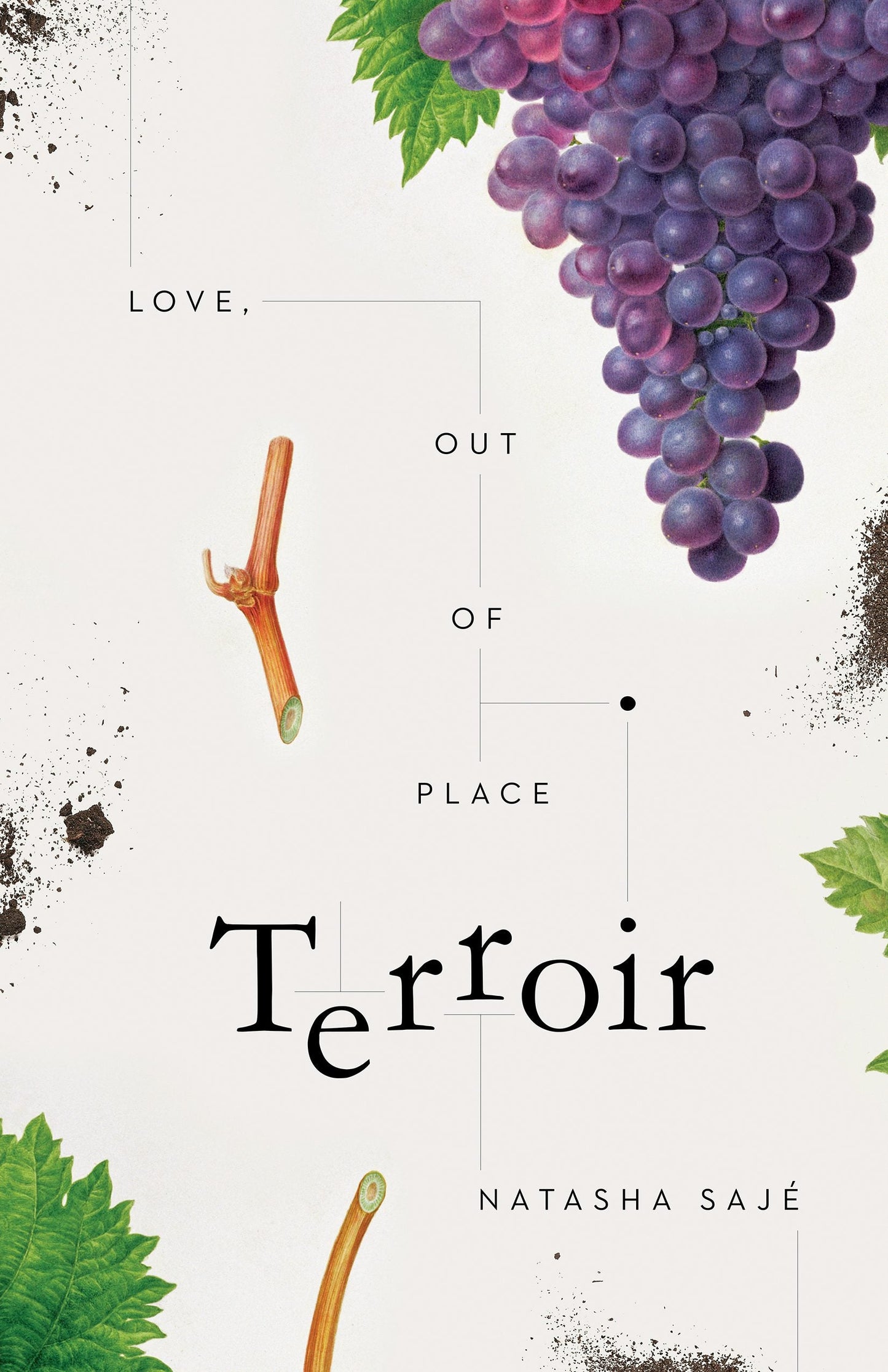 Book cover image for Terroir ISBN: 9781595349330