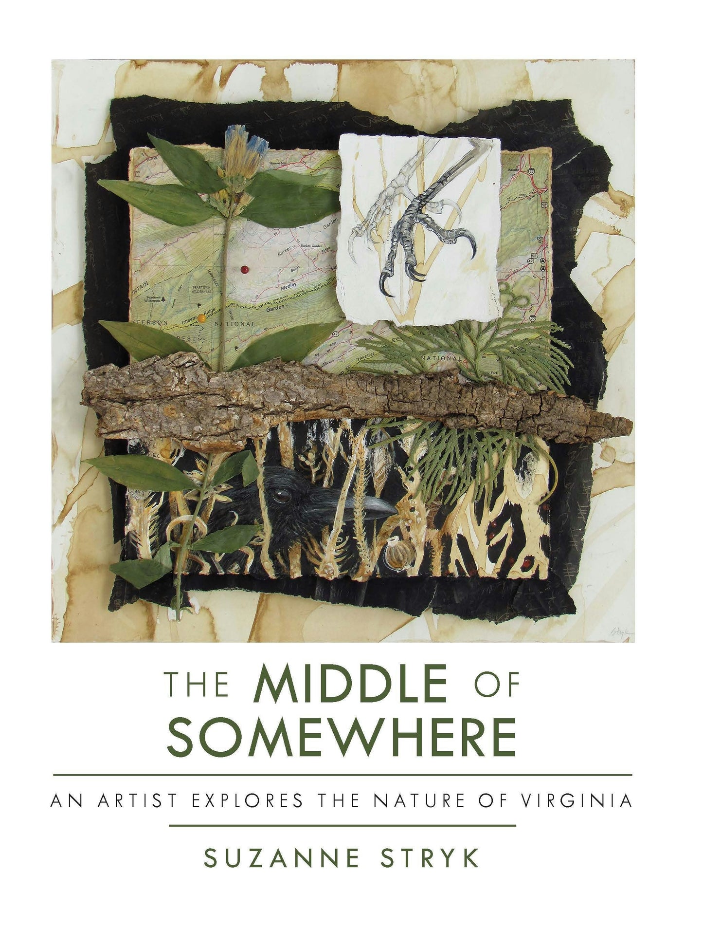 Book cover image for The Middle of Somewhere ISBN: 9781595349620