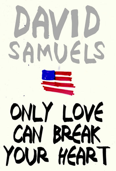 Cover image for Only Love Can Break Your Heart, isbn: 9781595581877