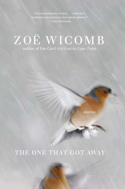 Cover image for The One That Got Away, isbn: 9781595584571