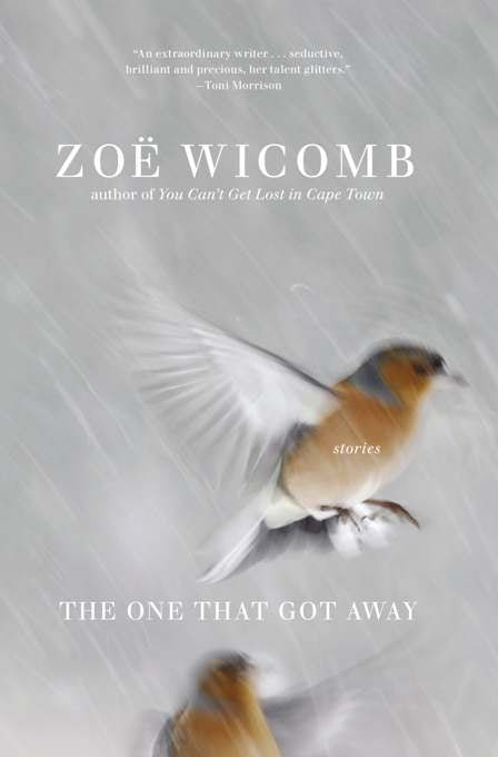 Cover image for The One That Got Away, isbn: 9781595584571
