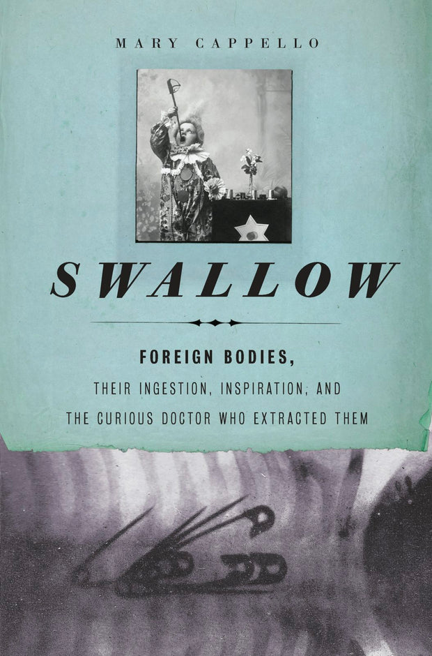 Cover image for Swallow, isbn: 9781595587770